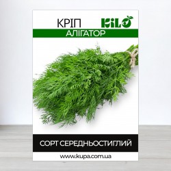 Насіння кропу Алігатор, 1кг